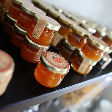 グラン リシュリュ アルカション