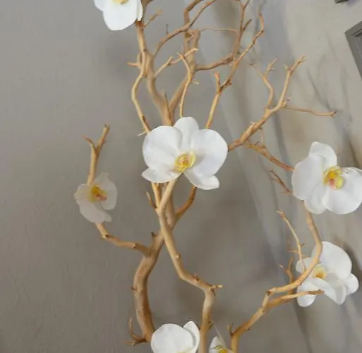 Otel Grand Richelieu 3*